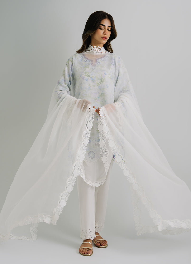 applique-lace-dupatta