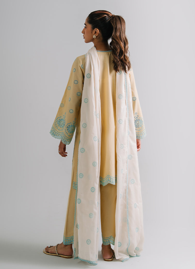 3-pc-embroidered-suit