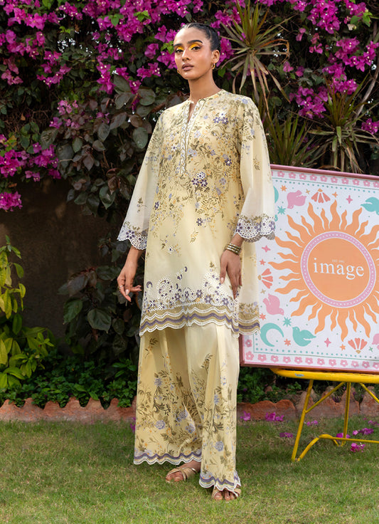 Printed Embroidered CO-ORD set