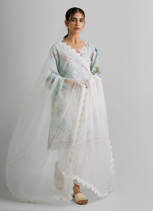 Applique Lace Dupatta