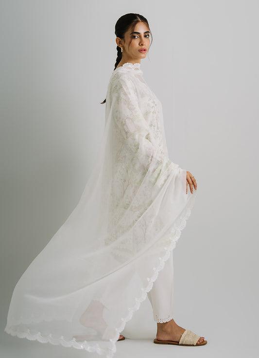 Applique Lace Dupatta