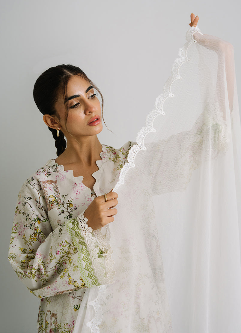 Applique Lace Dupatta
