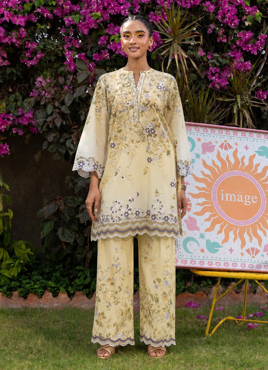 Printed Embroidered CO-ORD set