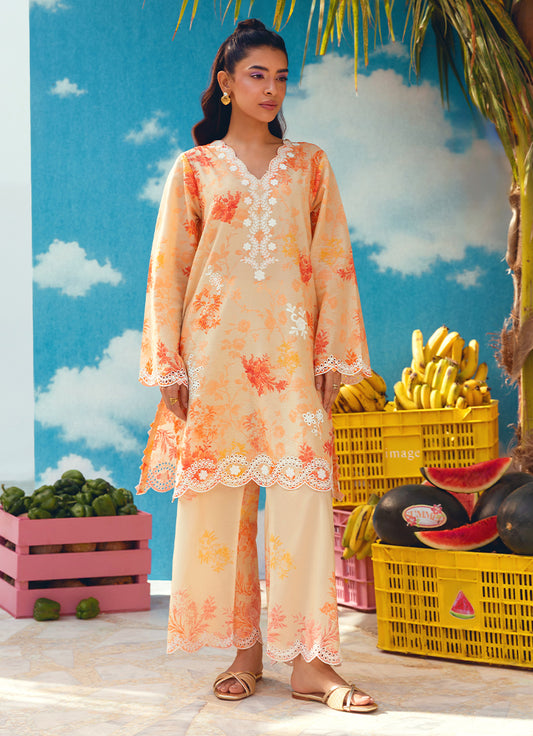 Printed Embroidered CO-ORD Set