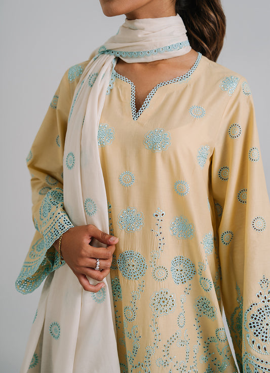 3 PC Embroidered Suit