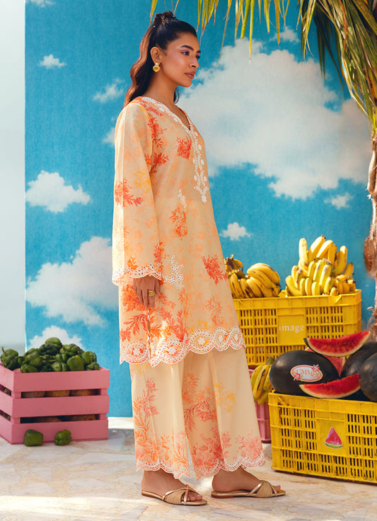 Printed Embroidered CO-ORD Set