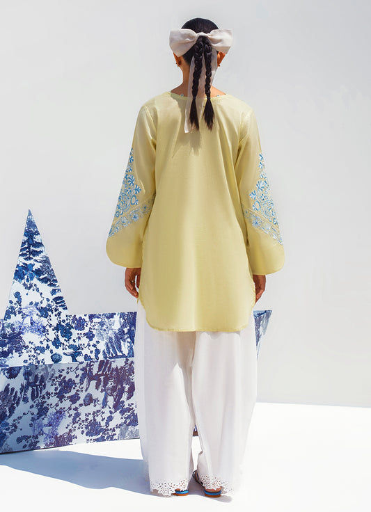 Embroidered Kurta
