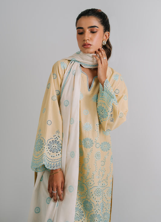 3 PC Embroidered Suit
