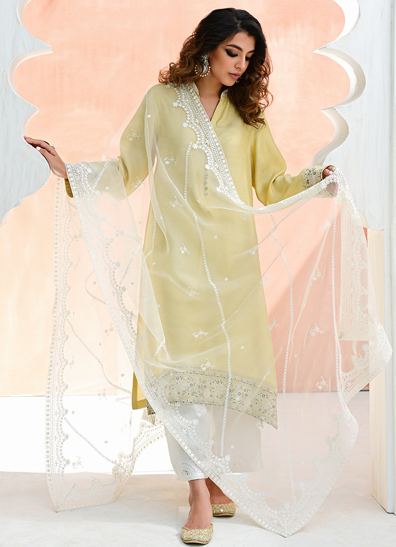 embroidered-organza-dupatta