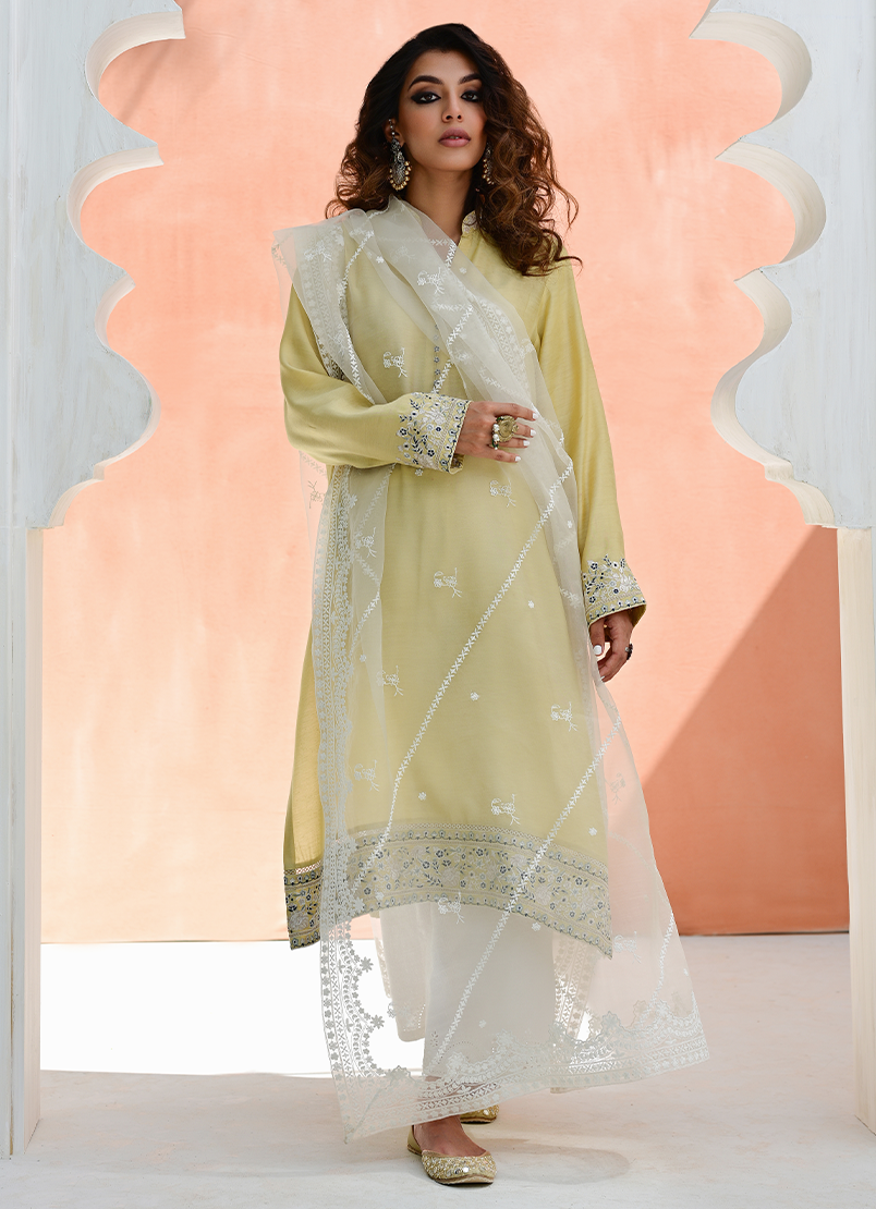 embroidered-organza-dupatta